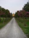 villa braglie vezzano sul crostolo